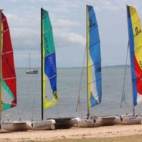 Sails at bayside image